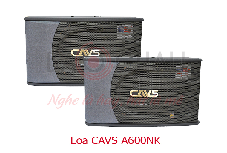 loa-cavs-a600nk