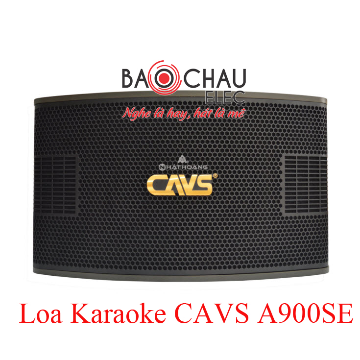 loa-karaoke-gia-dinh-CAVS-A900SE-2 loa-karaoke-gia-dinh-CAVS-A900SE-2