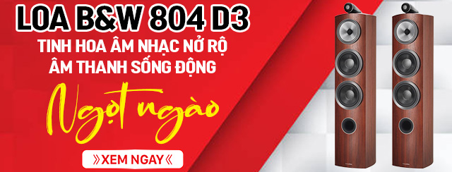 Loa B&W 804 D3