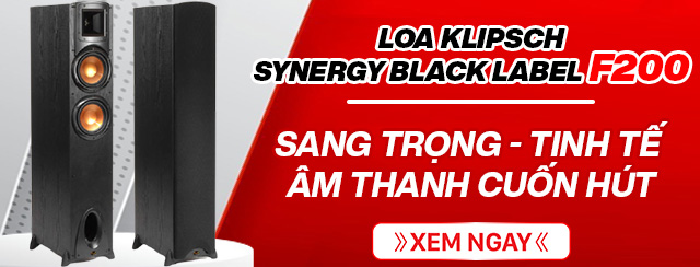 Loa Klipsch Synergy Black Label F200
