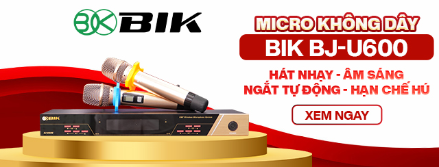 Micro không dây BIK BJ-U600