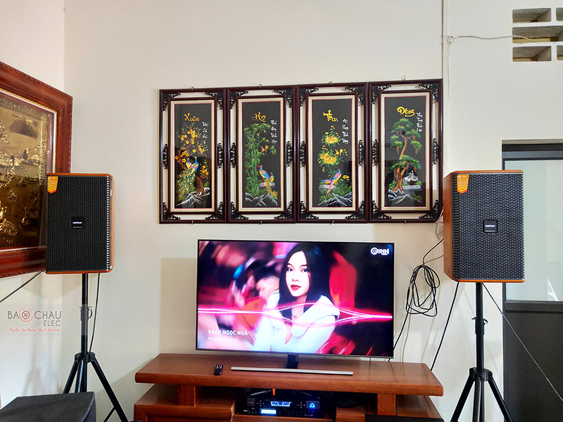 Lắp đặt dàn karaoke gia đình anh Long tại Hà Nội (Domus DK612, VM620A, X5 Plus, SW612B, BJ-U500)