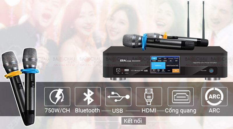 Digital Karaoke Power Amplifier BKSound DKA 8500