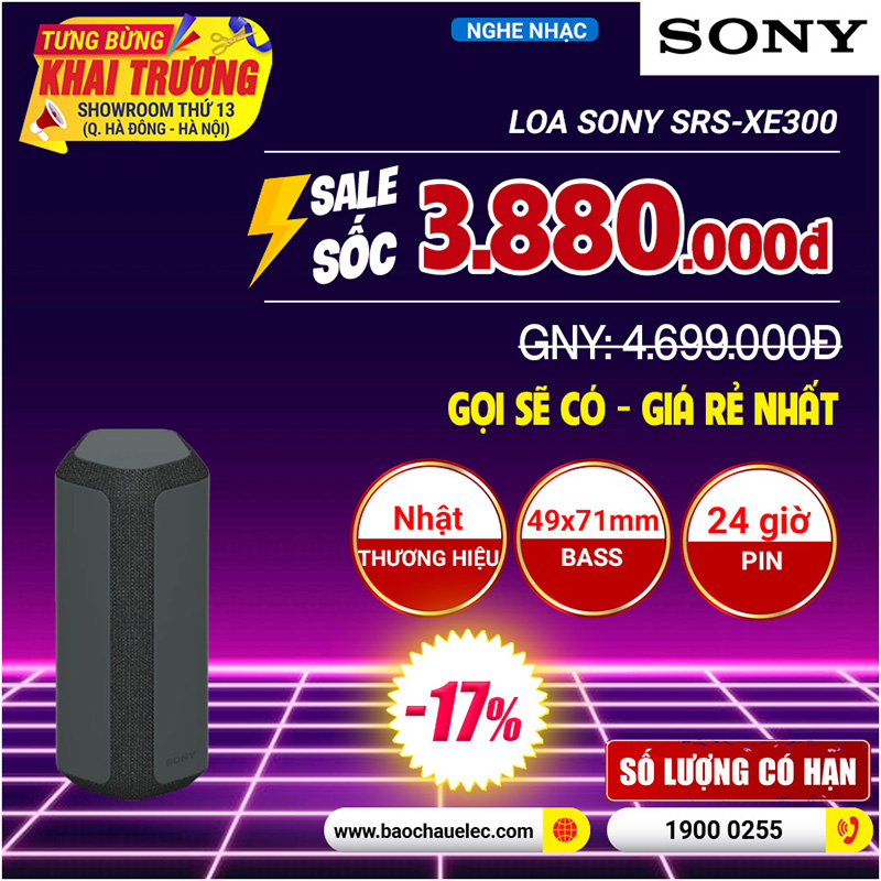 Loa Sony SRS-XE 300 