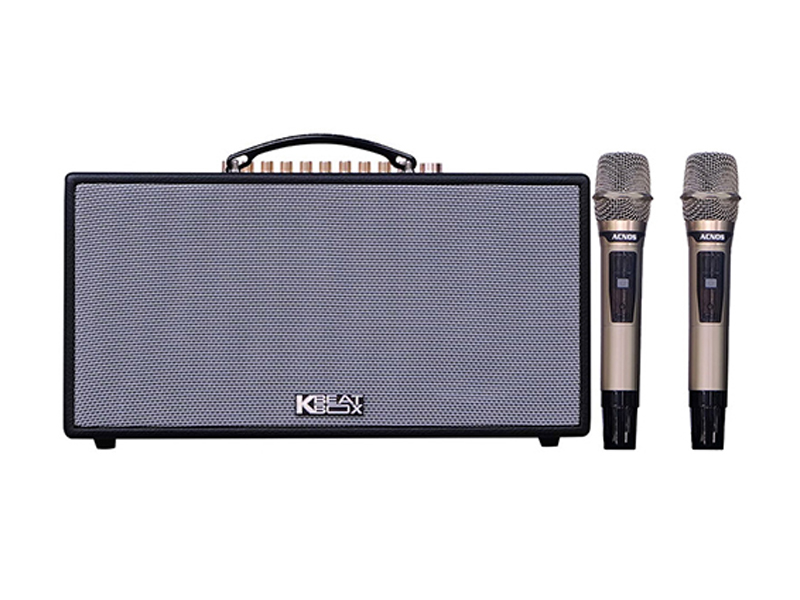 Loa xách tay Acnos CS450SRV (Bass 16.5cm)