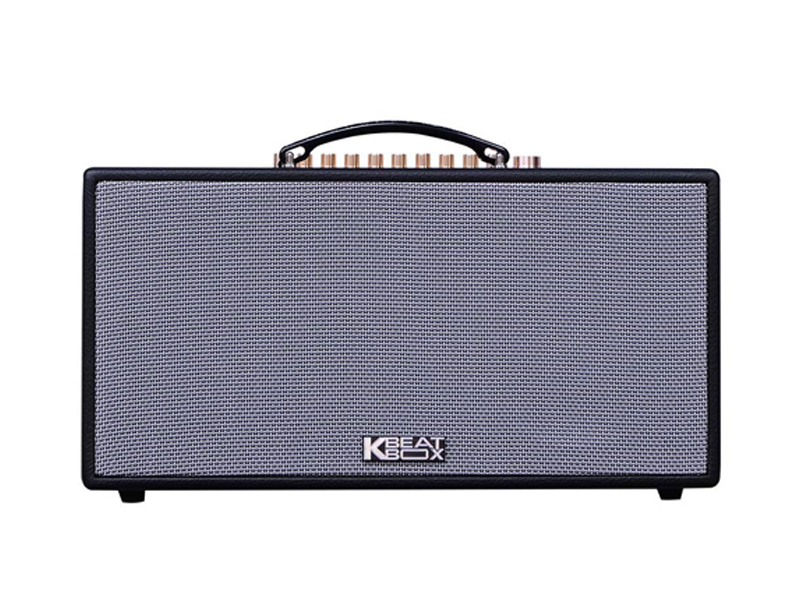 Loa xách tay Acnos CS450SRV (Bass 16.5cm)