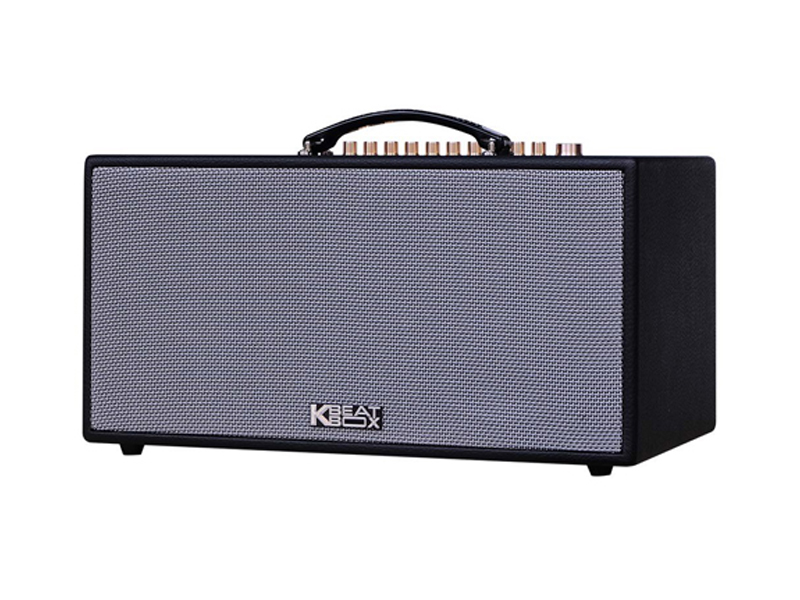 Loa xách tay Acnos CS450SRV (Bass 16.5cm)