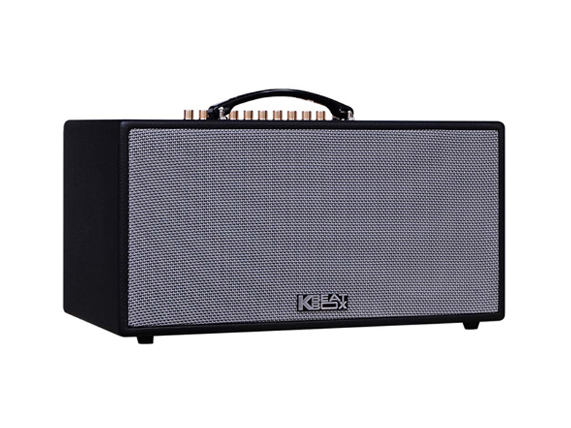 Loa xách tay Acnos CS450SRV (Bass 16.5cm)