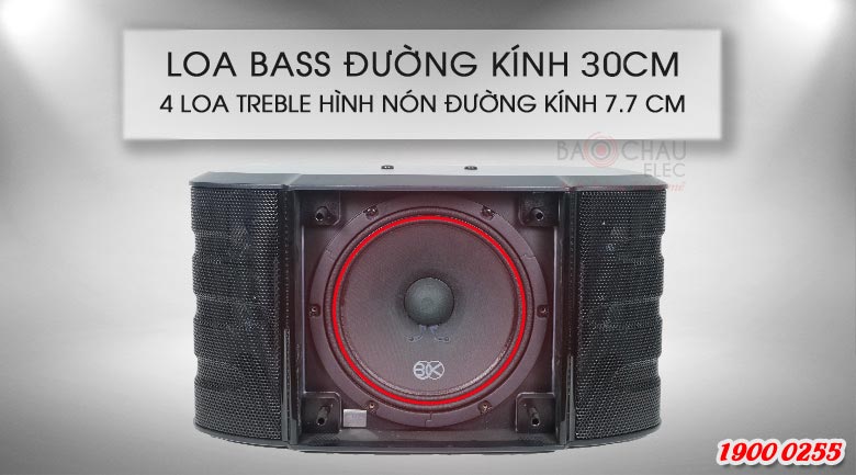 Loa BIK BS 999X sử dụng bass 30cm