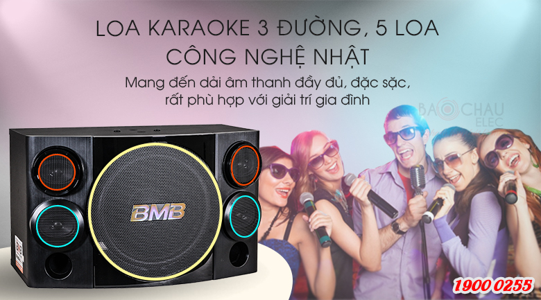 Loa karaoke BMB CSE 310SE sử dụng bass 25cm