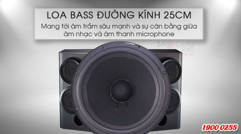 Loa BMB CSE 310II sử dụng củ bass 25cm