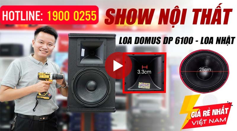 Loa karaoke Domus DP 6100