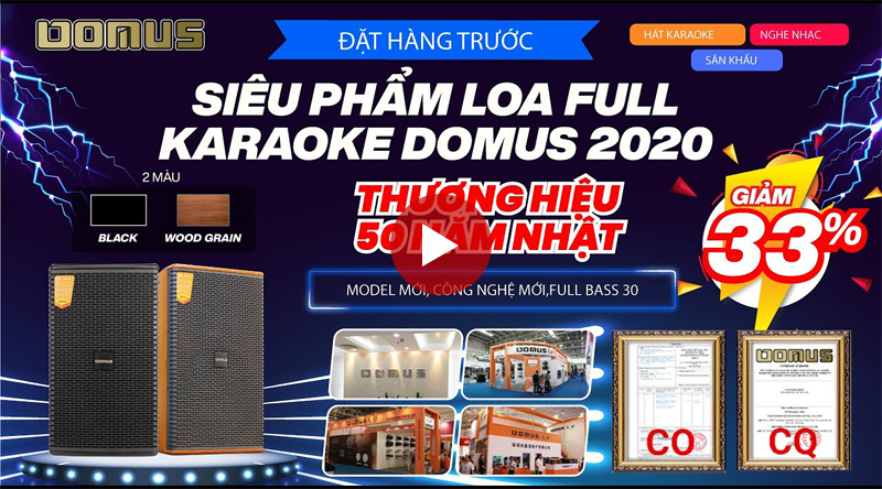 Loa karaoke Domus DK612