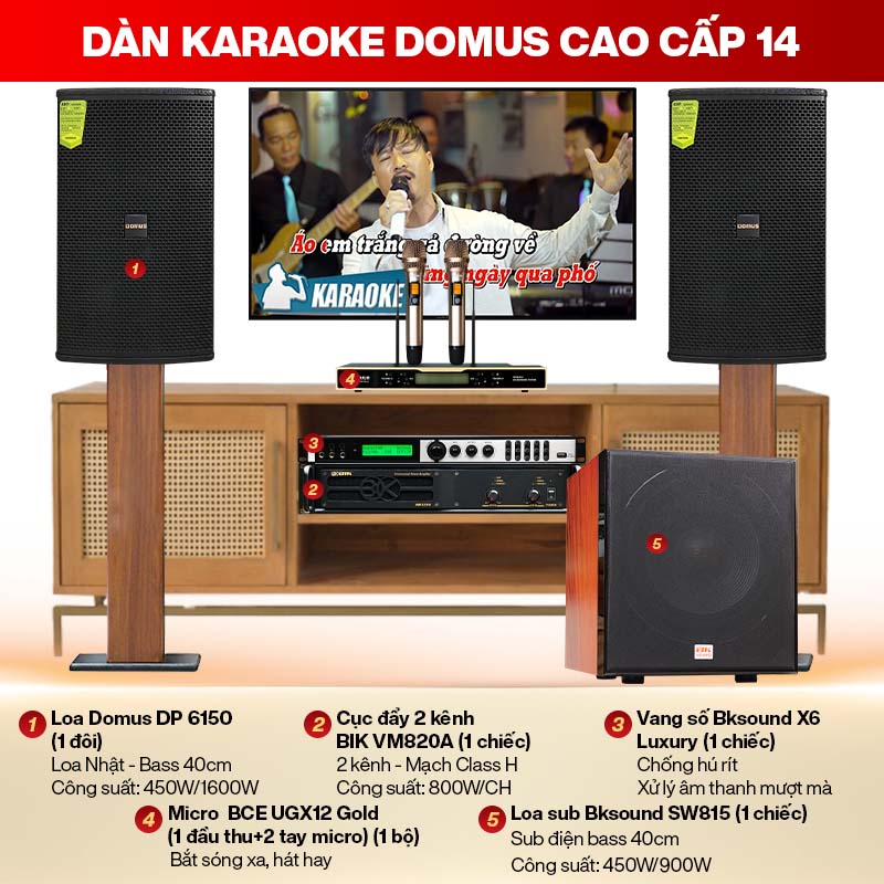 Dàn karaoke cao cấp Domus 14