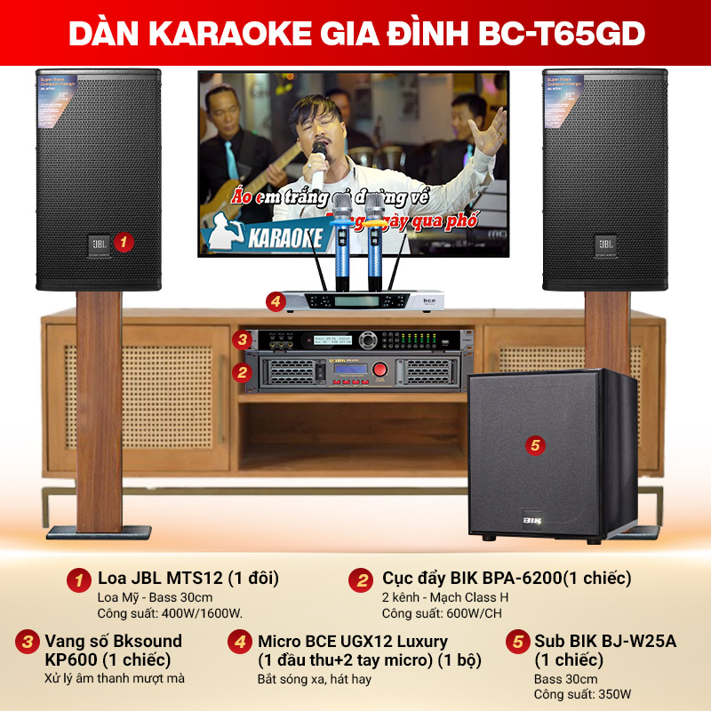 Dàn karaoke gia đình BC-T65GD