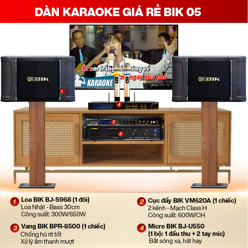 Dàn karaoke giá rẻ BIK 05