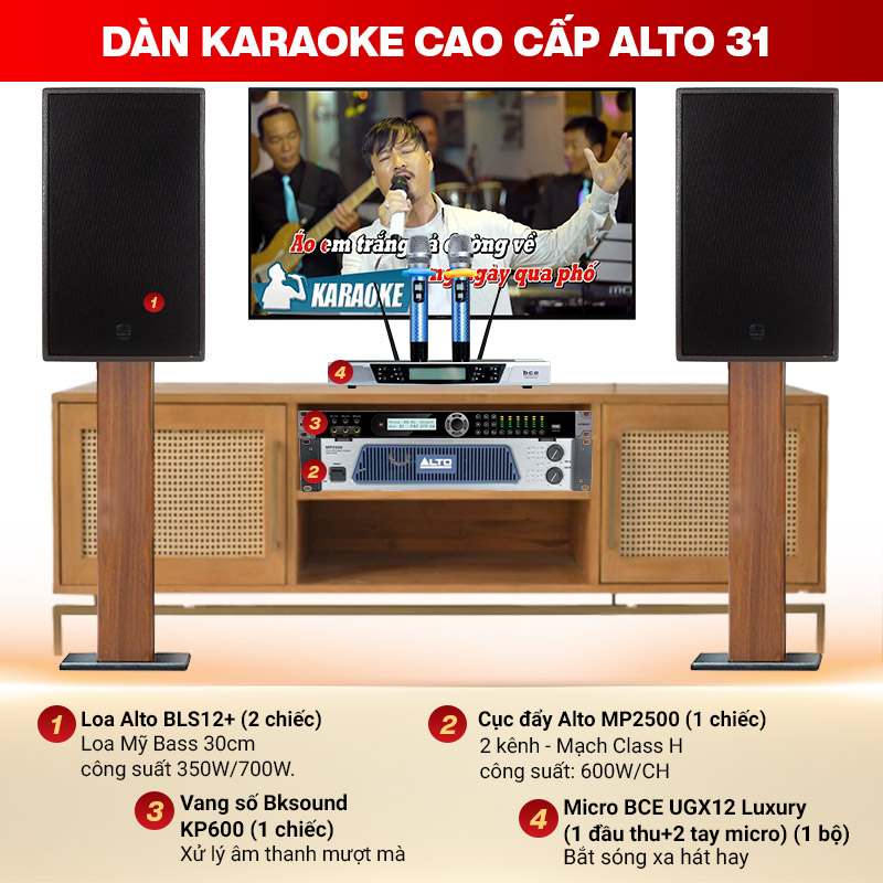 dàn karaoke cao cấp Alto 31