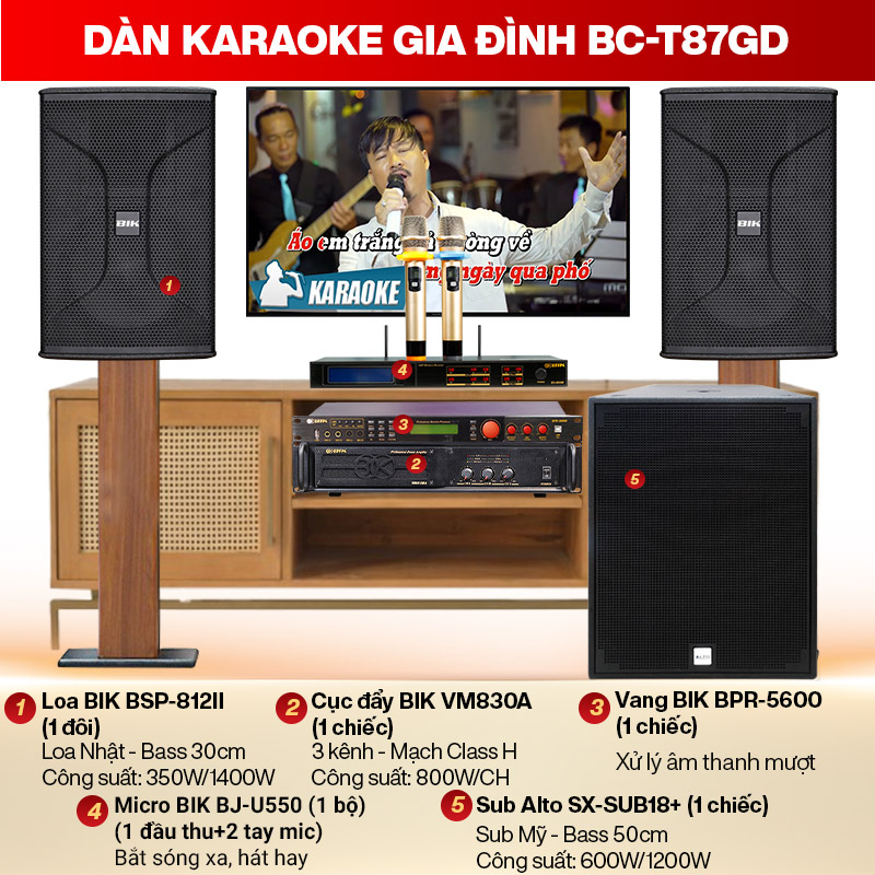 dàn karaoke gia đình BC-T87GD