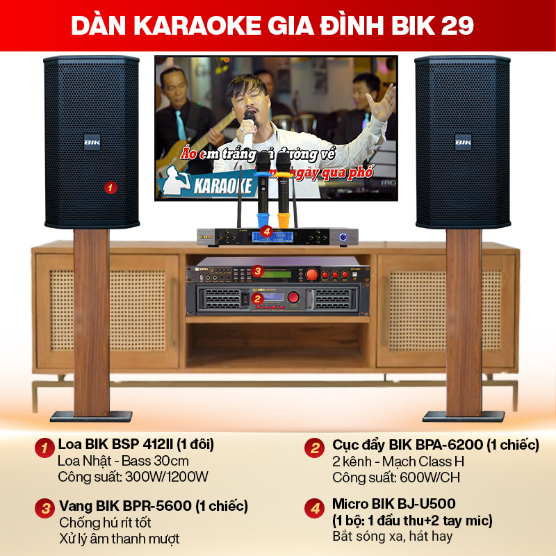 Dàn karaoke gia đình BIK 29 