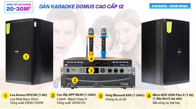 Dàn karaoke gia đình BC-Domus 06