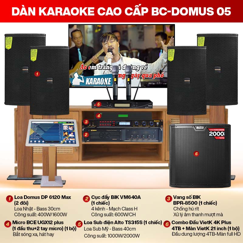 Dàn karaoke cao cấp BC-Domus 05