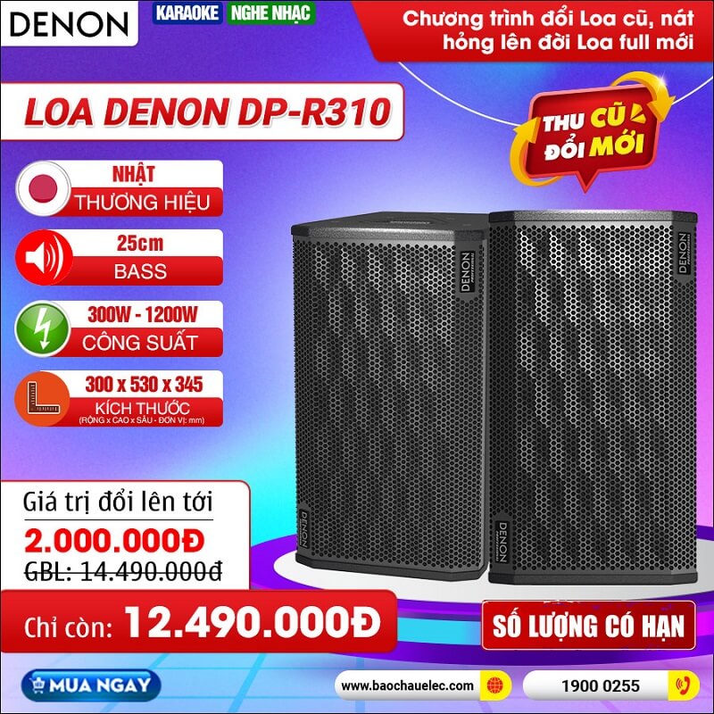 Loa karaoke Denon DP-R310