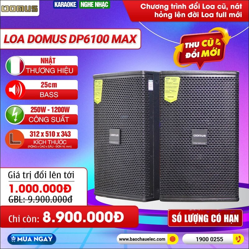 Loa karaoke Domus DP6100 Max