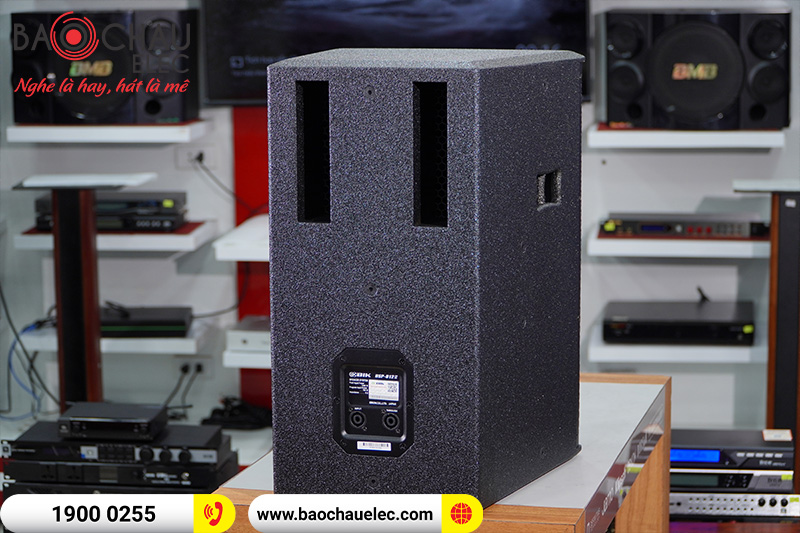 Loa karaoke BIK BSP 812II (bass 30cm)