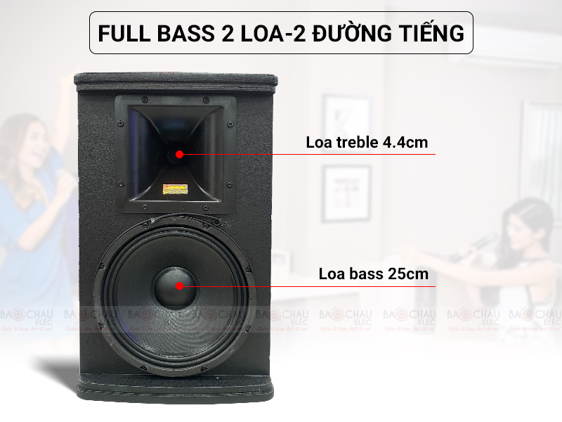 Loa karaoke Domus DP6100 MAX (Full bass 25cm - New 2022)
