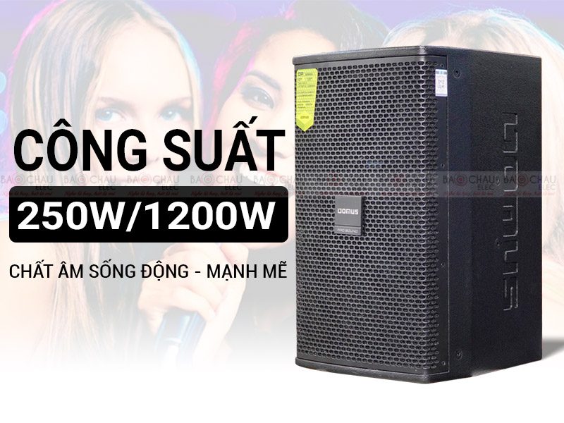 Loa karaoke Domus DP6100 MAX