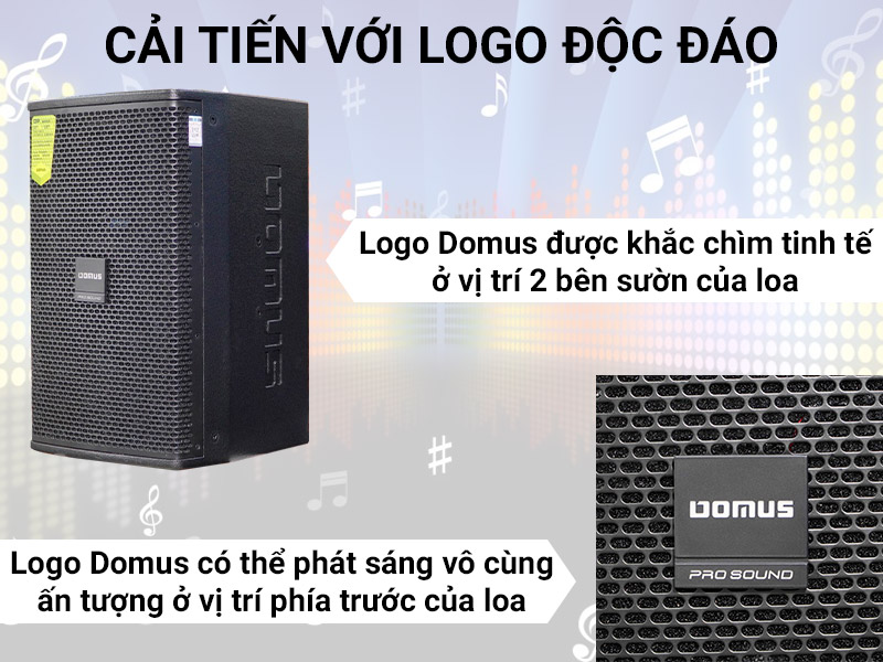 Loa karaoke Domus DP6120