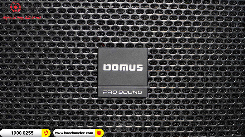 Loa karaoke Domus DP6120 MAX
