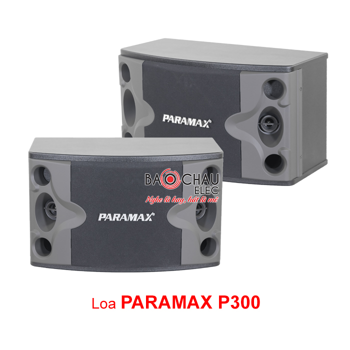 Loa Paramax P300 chính hãng, giá rẻ nhất hiện nay 