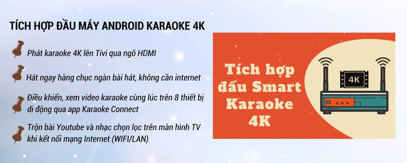 Loa k&eacute;o Acnos KBNET 41