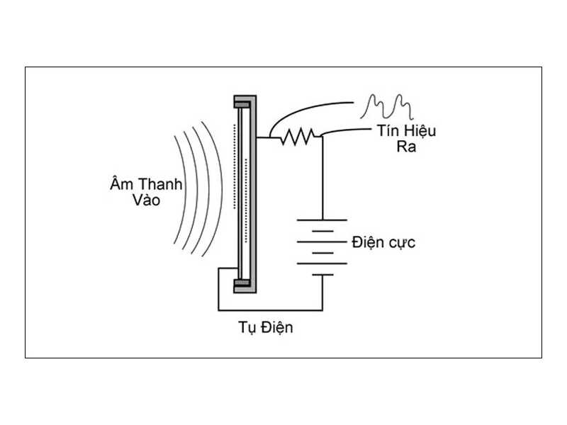 Micro điện dung là gì? Hoạt động như thế nào