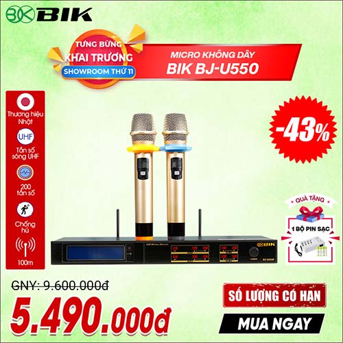 Micro không dây BIK BJ U550