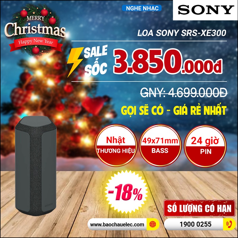 Loa bluetooth Sony SRS-XE300