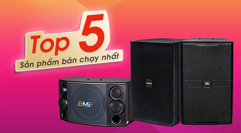 Điểm danh top 5 loa karaoke bán chạy nhất hiện nay tại Bảo Châu Elec