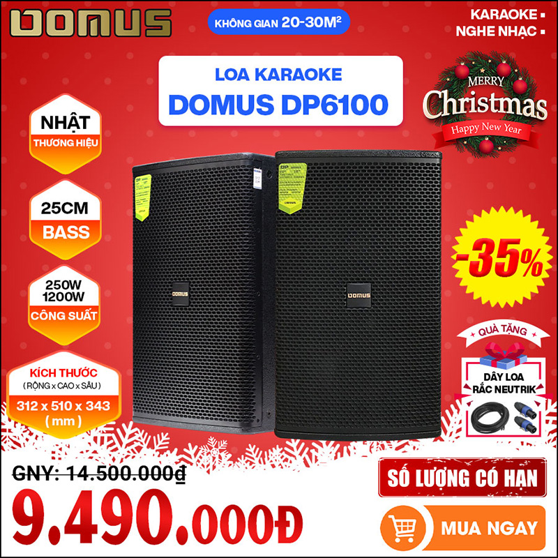 Loa Domus DP6100 