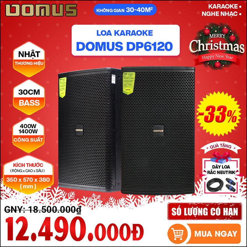 Loa Domus DP6120 