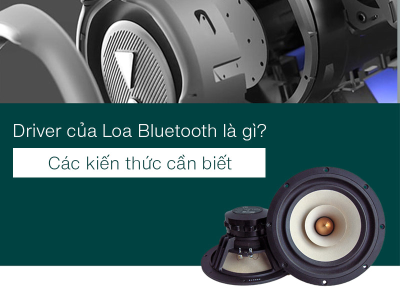 Driver của Loa Bluetooth là gì?