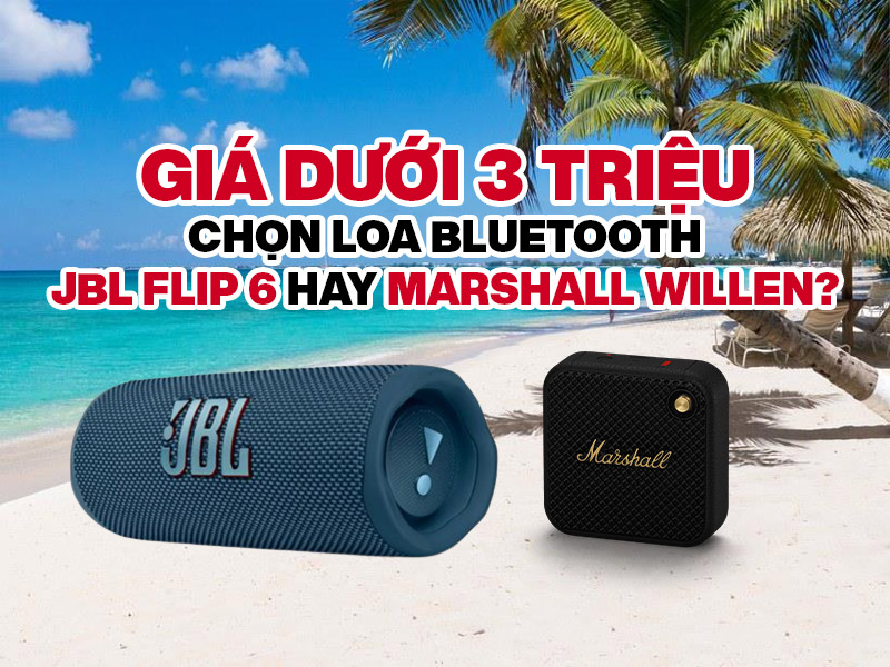 Giá dưới 3 triệu: Chọn loa bluetooth JBL Flip 6 hay Marshall Willen?