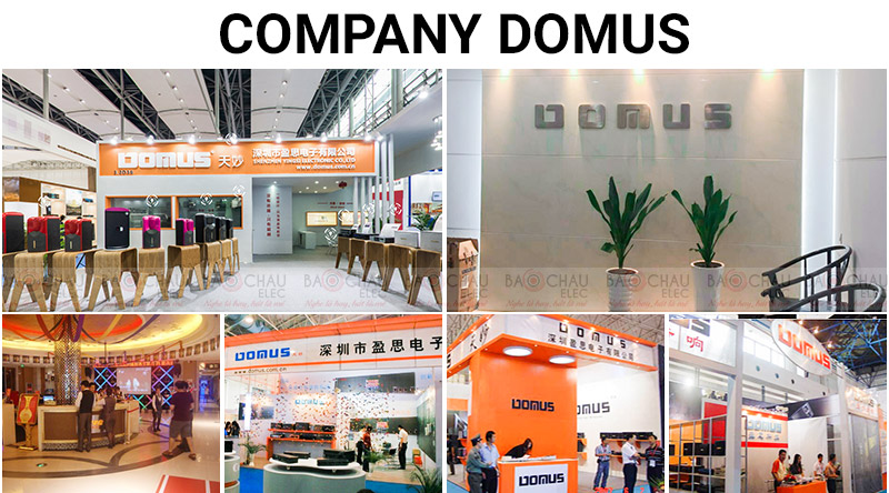 Đội ngũ nhân sự công ty Domus