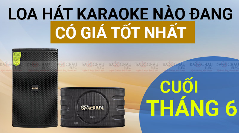 Loa hát karaoke nào có giá tốt nhất cuối tháng 6 này 