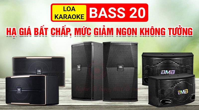 Loa karaoke bass 20 hạ giá bất chấp, mức giảm ngon không tưởng