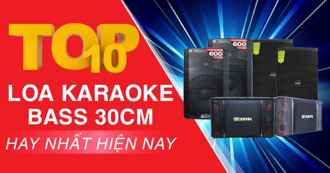 Top 10 loa karaoke bass 30 cm hay nhất hiện nay 