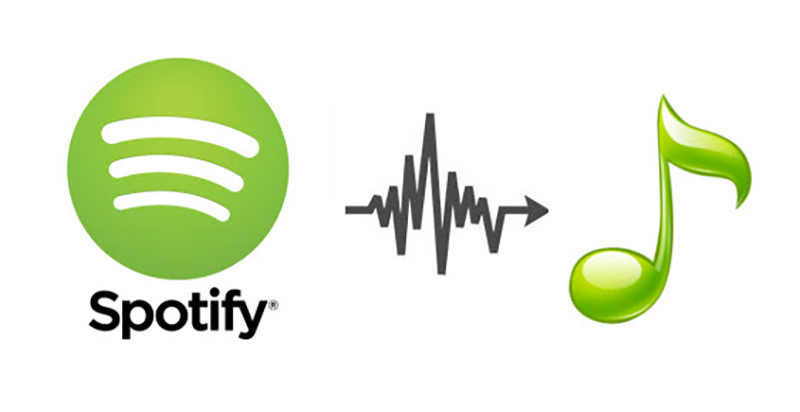 Spotify là gì mà khiến người dùng quan tâm nhiều đến thế