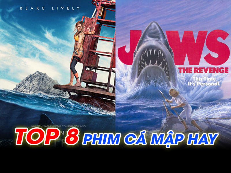 Top 8 Phim Cá Mập Hay, Rùng Rợn, Gây Ám Ảnh Người Xem
