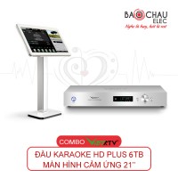 Combo Đầu Việt KTV HD Pro 6TB + màn 21 inch