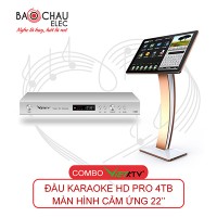 Combo VietKTV HD PRO 4TB + Màn hình 22